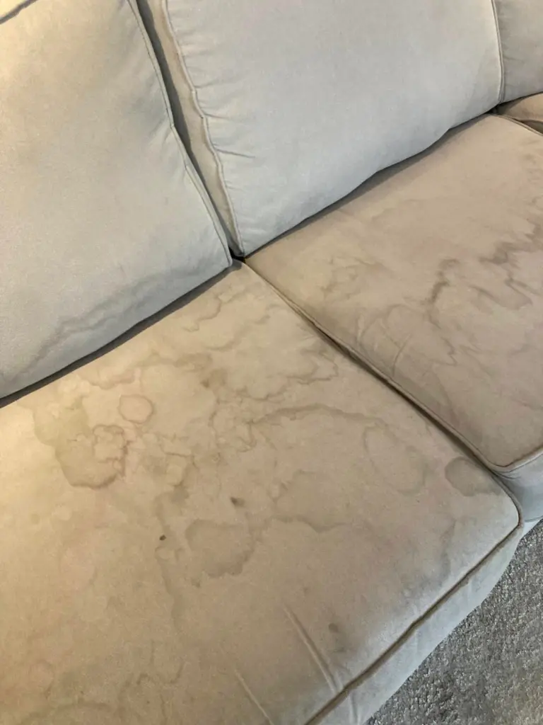 Upholestry cleaning service - sofa cleaned essex before