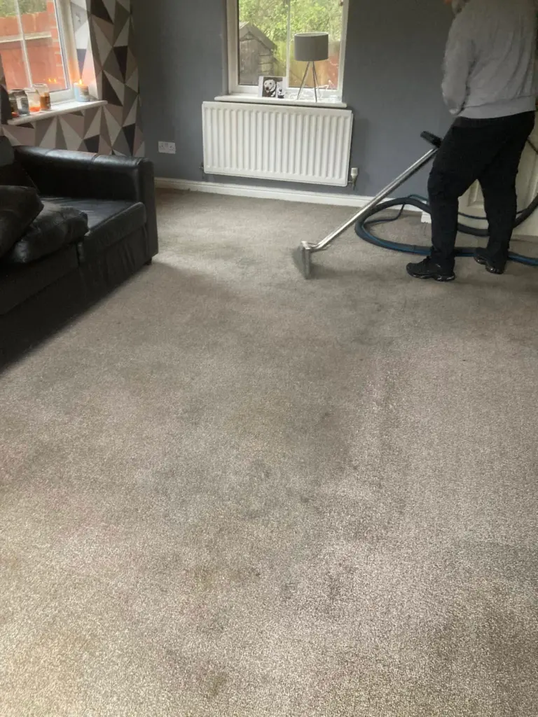 carpet cleaning service essex after