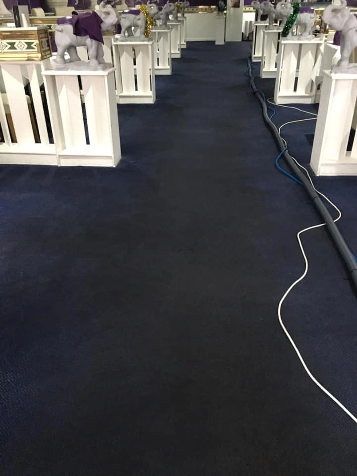 carpet cleaning service essex blue carpet cleaned