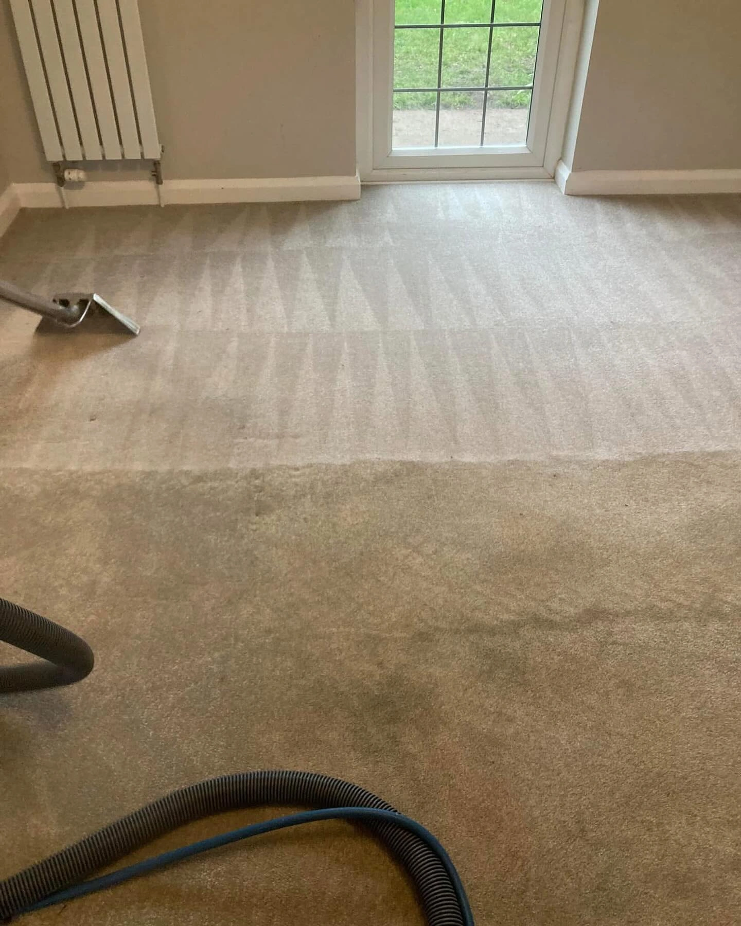 clean-my-dirty-living-room-carpet-essex