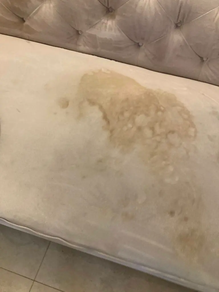 upholesry cleaning essex - gray sofa cleaning before