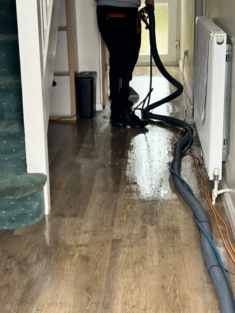 family-run-carpet-cleaners-in-Essex