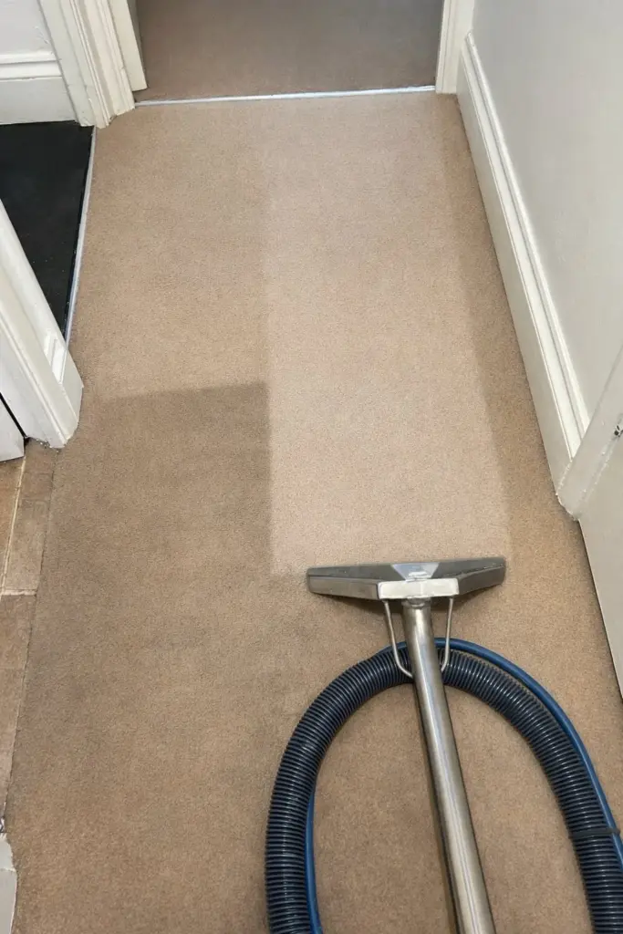 LVT-Luxury-vinyl-tile-clean-in-Essex