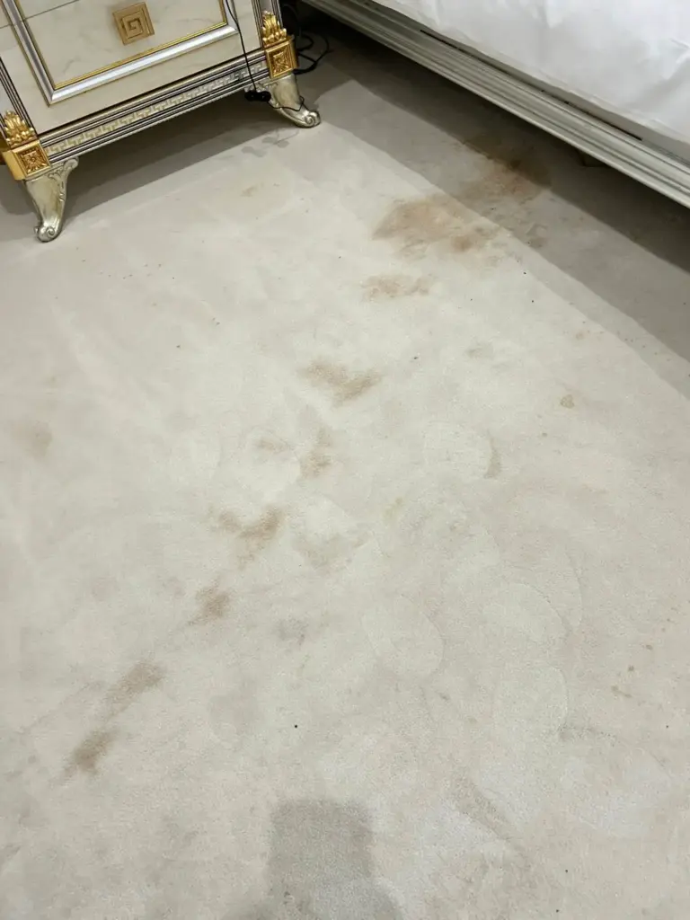 carpet-clean-services-in-Essex