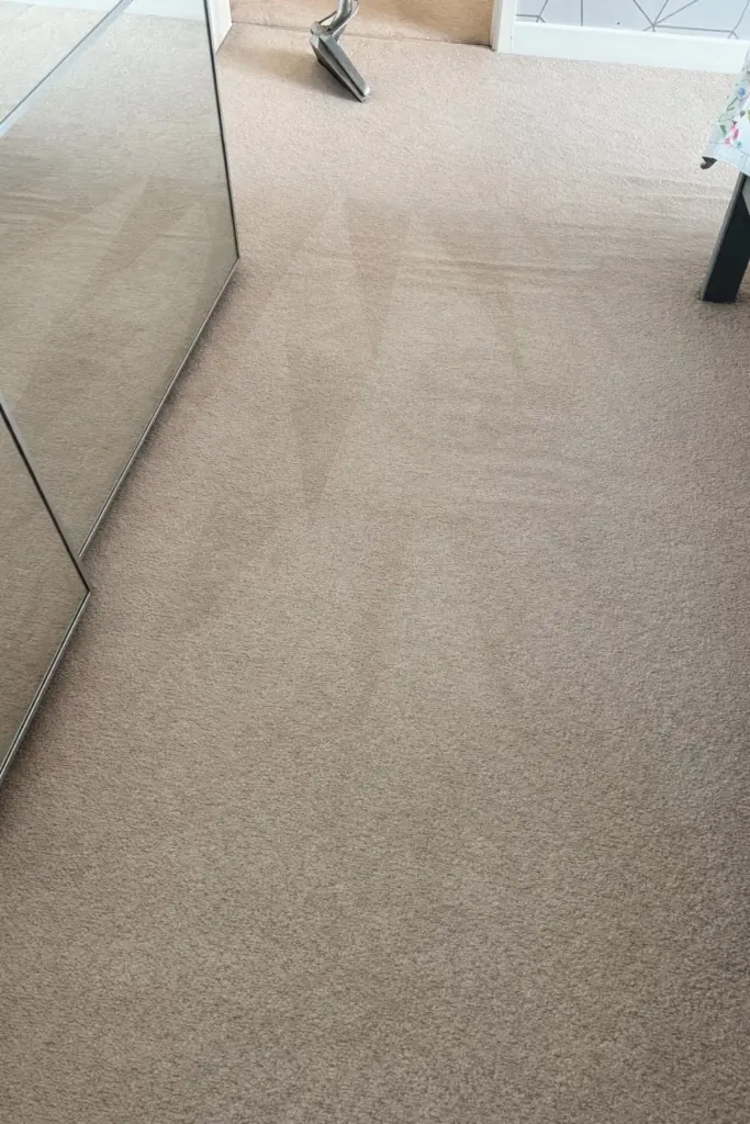 carpet-clean-with-a-bad-dog-urine-issues-in-Essex