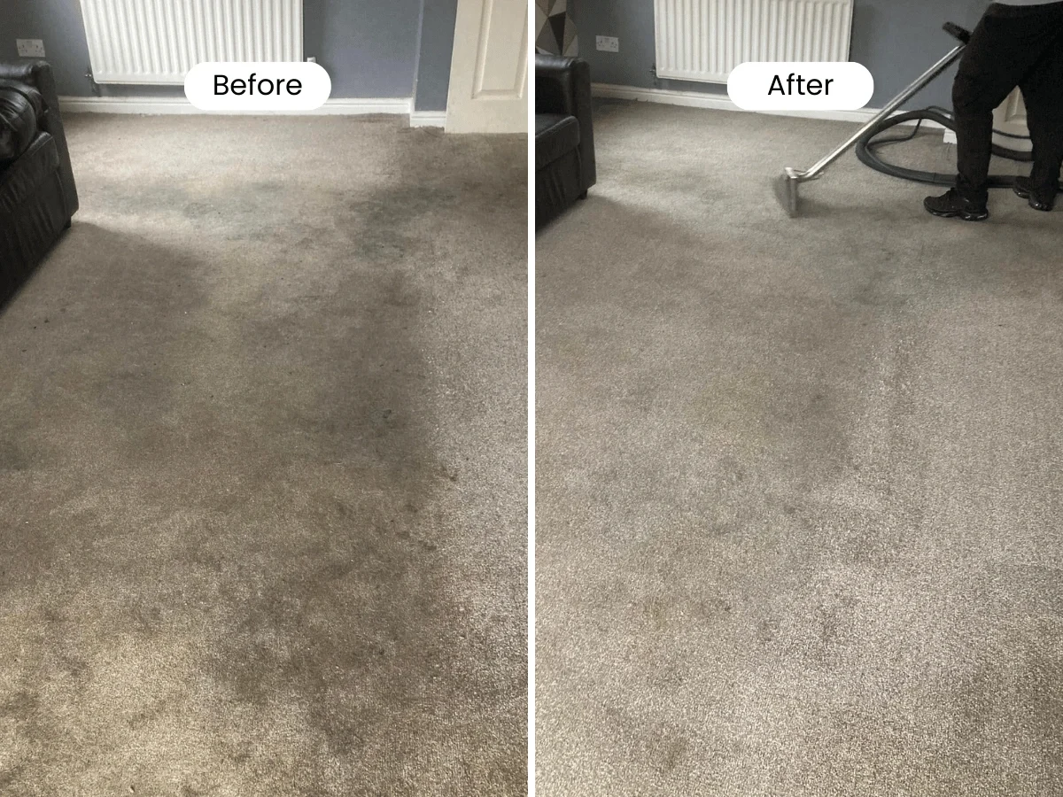carpet cleaning service essex before and after