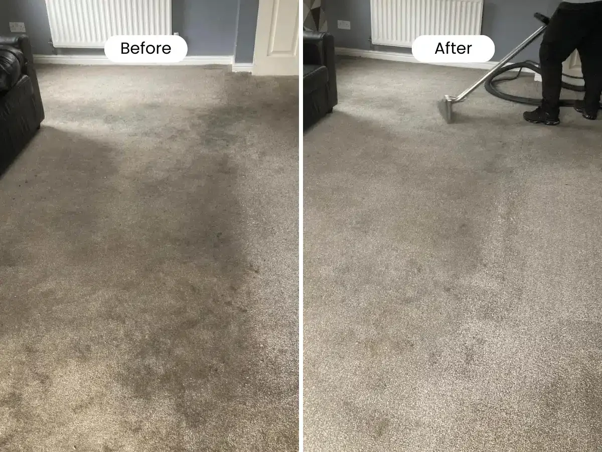 Home 1 Carpet and Upholstery Cleaning Essex