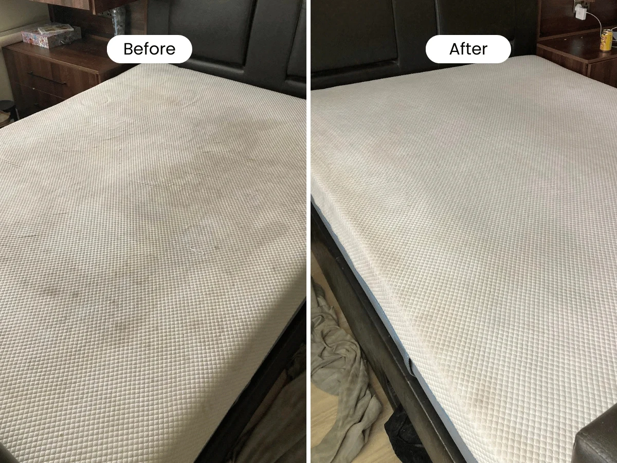 mattress cleaning service essex before andafter