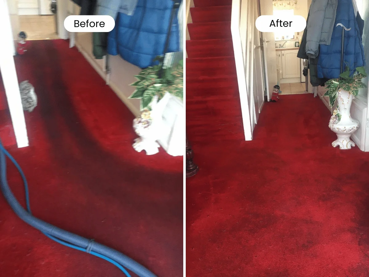 stairs cleaning service essex before and after