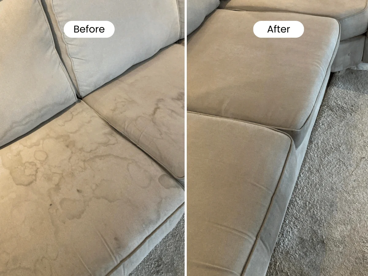 upholestry and sofa cleaning service essex before and after